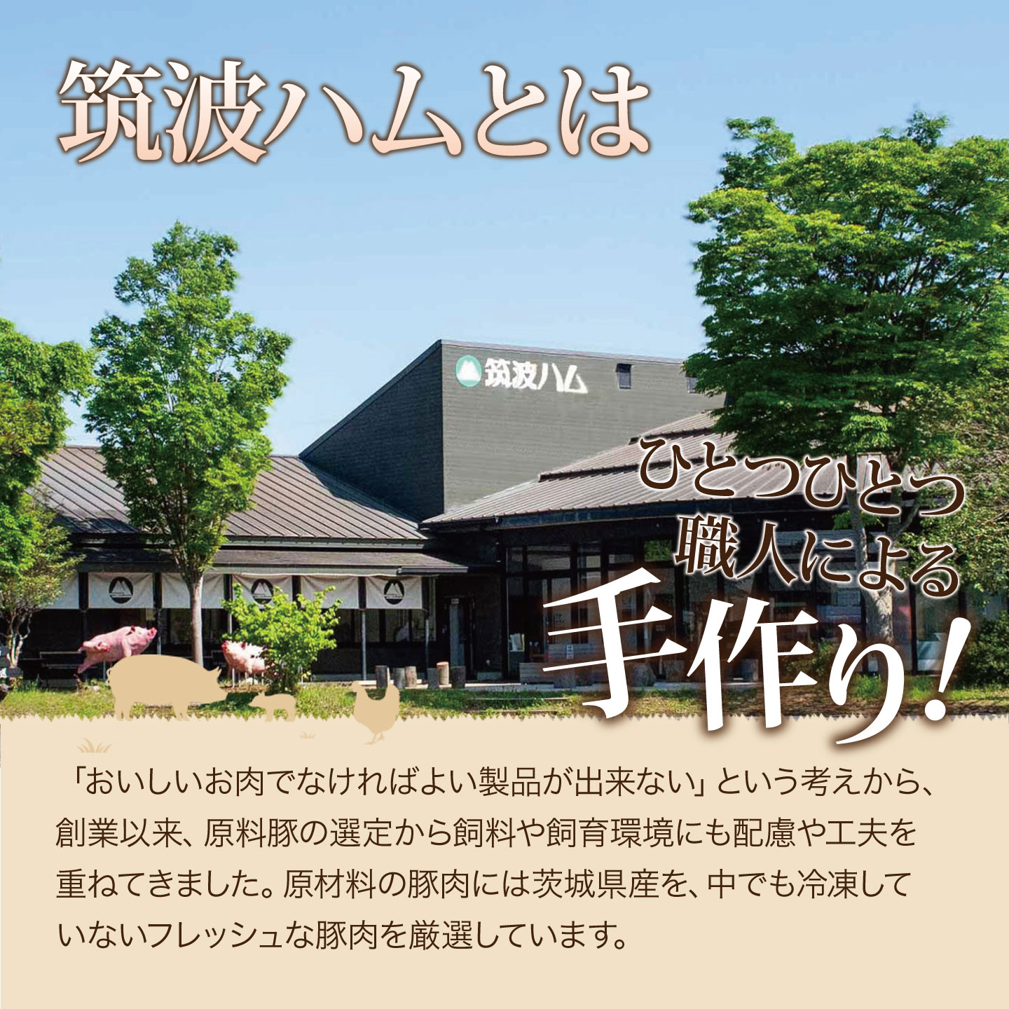 【ふるさと納税】ヨーグルト ギフトセット（プレーンヨーグルト90g×7個 / つくばヨーグルト200ml×7本）一週間腸活 筑波ハム | 茨城県 筑波ハム ヨーグルト ドリンクヨーグルト 乳 腸活 美容 健康 ギフト 贈答 茨城県産 国産 つくば市