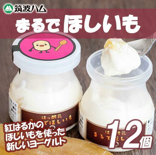 【ふるさと納税】【筑波ハム】まるでほしいも×3個セット4箱 | 茨城県 つくば市 ヨーグルト 干し芋 ほしいも ほし芋 紅はるか さつまいも いも 健康 【ふるさと納税】【筑波ハム】まるでほしいも×3個セット4箱 | 茨城県 つくば市 ヨーグルト 干し芋 ほしいも ほし芋 紅はるか さつまいも いも 健康