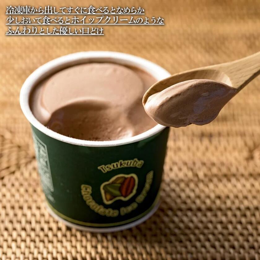 【ふるさと納税】チョコレートアイスクリーム 122ml×12個 | 茨城県 つくば市 チョコ チョコレート アイス アイスクリーム チョコアイス カカオ お取寄せ スイーツ グルメ ご褒美 インドネシア フェアトレード デザート 贅沢 濃厚 人気