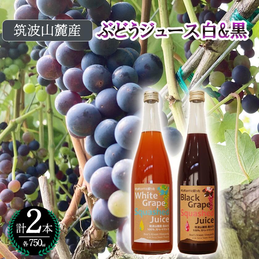つくば市 筑波山麓産ぶどうジュース2本セットビーズニーズヴィンヤーズ/Bee's Knees Vineyards| 茨城県 つくば市 ジュース ストレート 100% ぶどう ブドウ 白ぶどう 黒ぶどう ワイン専用ブドウ品種 果物 フルーツ 国産 つくば市産 茨城県産 飲み物 セット