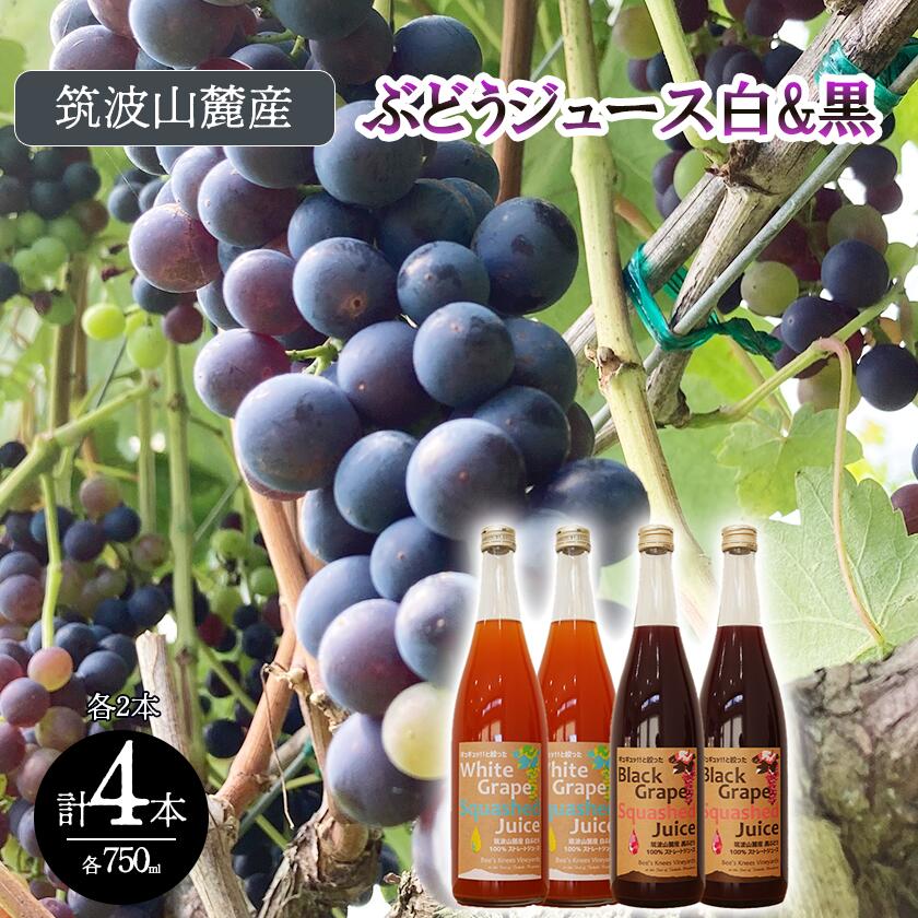 つくば市 筑波山麓産ぶどうジュース4本セット ビーズニーズヴィンヤーズ/Bee's Knees Vineyards| 茨城県 つくば市 ジュース ストレート 100% ぶどう ブドウ 白ぶどう 黒ぶどう 果物 フルーツ 国産 茨城県産 飲み物 飲料 セット おやつ 子供 人気 おすすめ