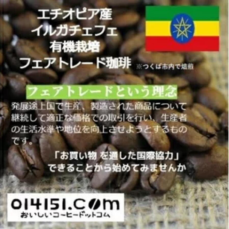 【ふるさと納税】コーヒー豆 200g×2種 飲み比べ エチオピア イルガチェフェ つくばで焙煎 缶入＜のし付き＞ | 茨城県 つくば市 ブレンド オリジナル 直火式焙煎 自家焙煎 中煎り 中深煎り 有機 フェアトレード スペシャリティ 熨斗 ギフト 定番 セット 人気