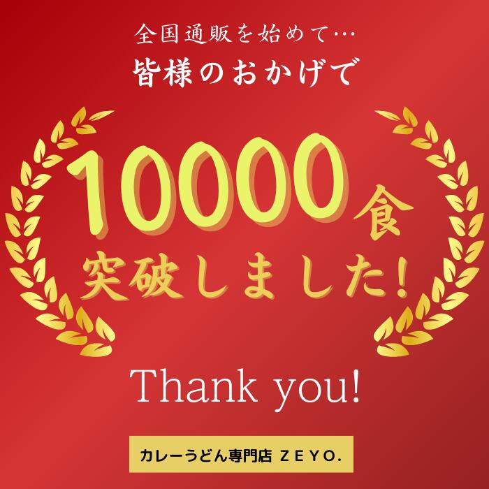 【ふるさと納税】筑波大学生のソウルフード！ZEYO.のカレーうどん 3人前(煮豚付き) | 茨城県 つくば市 カレーうどん 簡単 レトルト 豚肉 お家ごはん おいしい 国内製造 中太平打うどん スパイス カレースープ