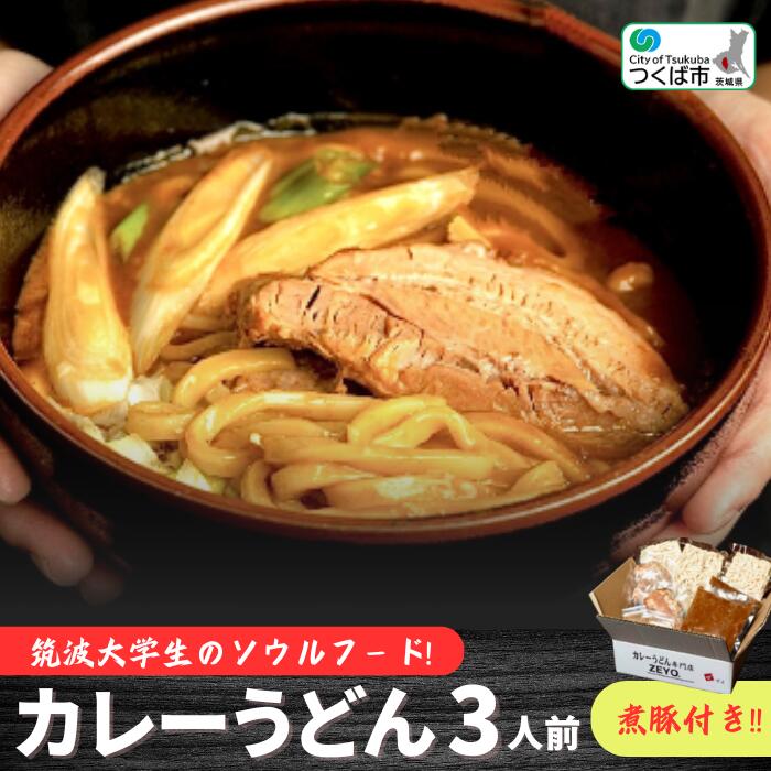 【ふるさと納税】筑波大学生のソウルフード！ZEYO.のカレーうどん 3人前(煮豚付き)【沖縄、離島不可】...