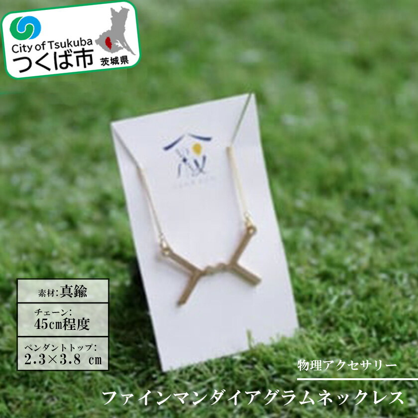 物理アクセサリー「ファインマンダイアグラムネックレス」 | 茨城県 つくば市 1413562