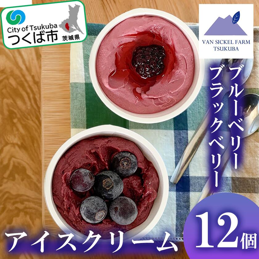 【ふるさと納税】【茨城県つくば市産ブルーベリー使用】フローズンヨーグルトアイスセット（12個） | 茨城県 つくば市 ブルーベリー 国産 ベリー スイーツ アイス ジェラート ヨーグルト 果物のサムネイル