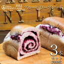 【ふるさと納税】ペニーレインのブルーベリーブレッド3本セット | 茨城県 つくば市 パン パン屋 茨城県 つくば市 ブルーベリー 冷凍パン お取り寄せ 人気 お...