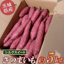【ふるさと納税】☆先行予約 2025年9月~順次発送☆さつまいも 5kg (シルクスイート)|茨城県 つくば市 芋 さつま芋 蜜いも 焼き芋 紅はるか しっとり食感 高糖度 秋の味覚 甘藷 10000 10000円