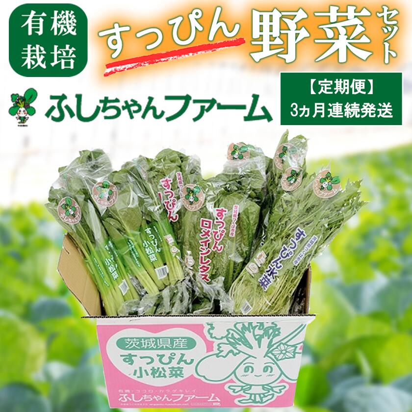 【ふるさと納税】【3ヵ月定期便】すっぴん有機やさいセット(小松菜・水菜・ロメインレタス) | 茨城県 つくば市 定期 定期便 小松菜 ロメインレタス 水菜 鍋 ...