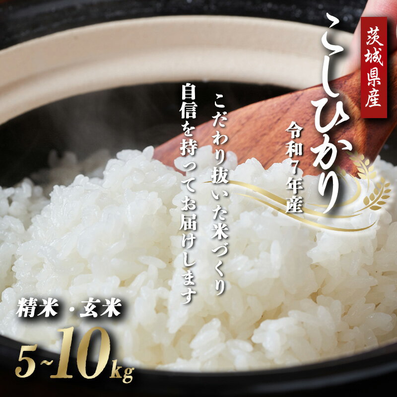 【ふるさと納税】米 5kg~10kg こしひかり 令和7年産 よこたファーム | 白米 精米 玄米 こしひかり 5kg 10kg 11000 茨城県産 減農薬 減農 こめ コメ お米 2025年産 おこめ R7 ご飯 ごはん 数量 限定 ギフト 茨城県 つくば市