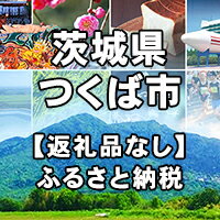 茨城県つくば市への寄付(返礼品はありません)