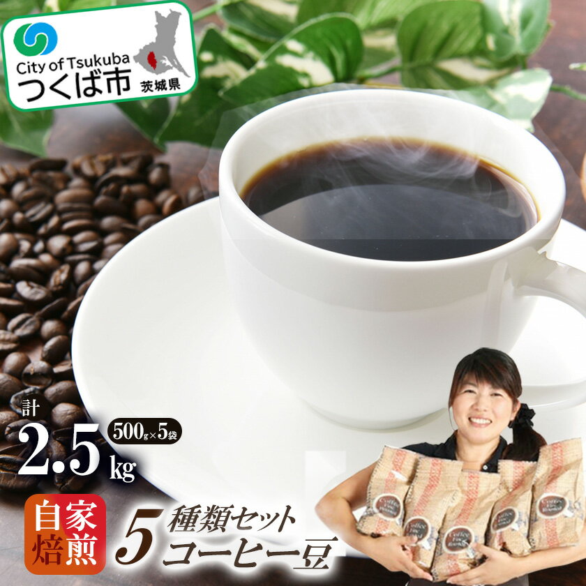 ＜自家焙煎珈琲豆＞コーヒー豆5種類セット 500g×5袋 計2500g | 茨城県 つくば市 coffee コーヒー 珈琲 飲み比べ コーヒーセット コーヒー豆...