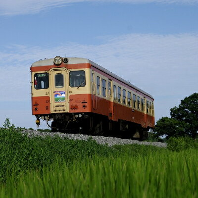 17位! 口コミ数「0件」評価「0」ひたちなか海浜鉄道湊線キハ205貸し切り乗車体験【1213585】