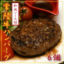 【ふるさと納税】常陸牛100%ハンバーグ 150g×6個(和風ソース付)【配送不可地域:離島】【1244692】