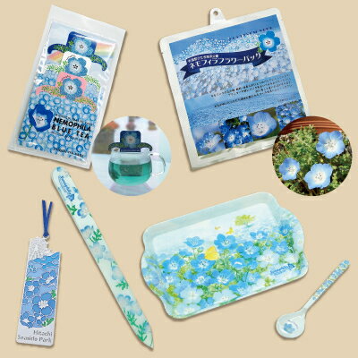 【ふるさと納税】ひたちなか市ふるさと納税　ひたち海浜公園ネモフィラ雑貨セット【1259656】のサムネイル