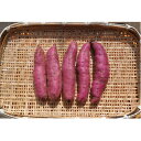 【ふるさと納税】熟成1ヵ月以上でお届け! 紅はるか サツマイモ 4.75kg Mサイズ〜2Lサイズ混ざり (土付き)【1421158】