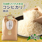 【ふるさと納税】ひたちなか市のお米コシヒカリ5kg【1423031】