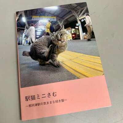 ひたちなか海浜鉄道「駅猫ミニさむ写真集」