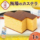 【ふるさと納税】阪場のカステラ(1号) 〈夏季用〉【配送不可地域:離島】【1614065】