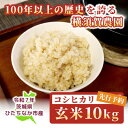 【ふるさと納税】【先行予約・9月以降順次発送】令和7年 ひたちなか市産 コシヒカリ(玄米)10kg×1袋【1641939】