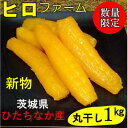 【ふるさと納税】【新物】2月以降発送 ヒロファームの干しいも 丸干し 1kg×1袋 べにはるか 茨城県ひたちなか産【配送不可地域:離島】【1643863】