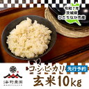 【ふるさと納税】【先行予約・9月以降順次発送】新米 令和7年 ひたちなか市産 コシヒカリ(玄米)10kg×1袋【1650296】