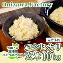 【ふるさと納税】【先行予約・9月以降順次発送】令和7年 ひたちなか市産 コシヒカリ(玄米)10kg×1袋【1653819】
