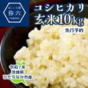 【ふるさと納税】【先行予約・9月以降順次発送】令和7年ひたちなか市産 コシヒカリ(玄米)【10kg】【1654187】