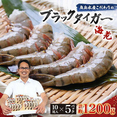 【ふるさと納税】【毎月定期便】魚兵水産こだわりのブラックタイガー海老 10尾5パック(計1200g程度)全3回【配送不可地域:離島】【4067304】