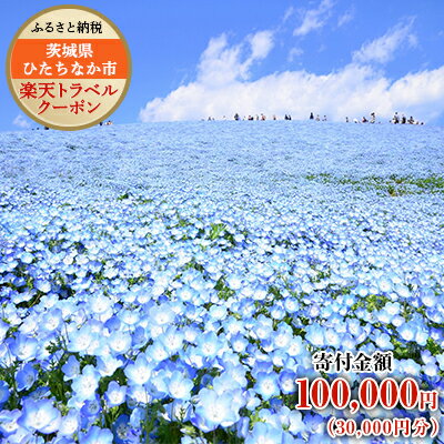 楽天ふるさと納税　【ふるさと納税】茨城県ひたちなか市の対象施設で使える楽天トラベルクーポン寄付額100,000円