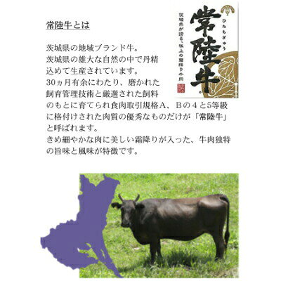 【ふるさと納税】常陸牛100%ハンバーグ　150g×6個(和風ソース付)【配送不可地域：離島】【1244692】