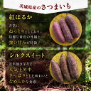 茨城県ひたちなか市の画像3