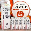 【ふるさと納税】カピアンオリジナルのアイスコーヒー1L×6本(計6000ml) 直火焙煎豆が生み出す深いコクと香り!_ コーヒー 珈琲 アイスコーヒー 無糖 アイス こーひー カピアンコーヒー 飲料 飲み物 直火焙煎 1L×6本 アイスカフェオレ 贈答 ギフト プレゼント 【1564126】
