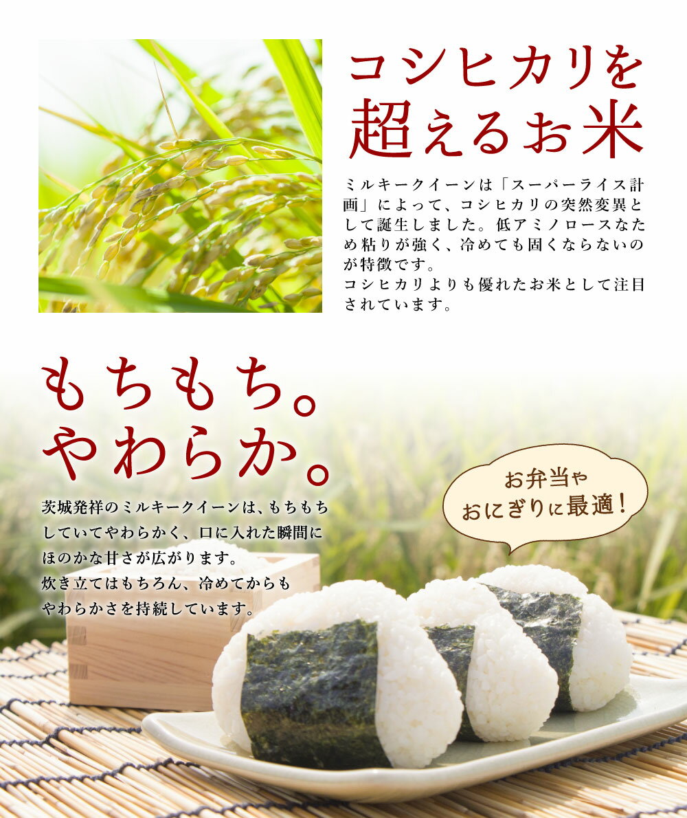 【ふるさと納税】茨城県産ミルキークイーン 10kg ( 5kg × 2袋 ) 米 お米 白米 精米 おにぎり 茨城県産 鹿嶋市 国産 送料無料 ごはん ツヤ もちもち やわらか おいしい おこめ 茨城発祥 直前精米 新鮮 粘り 冷めても 美味しい（KY-2）