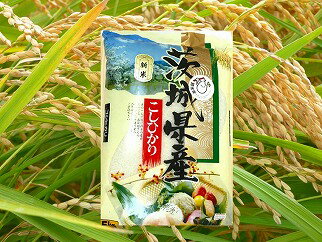 [隔月定期便(計6回)]茨城県産コシヒカリ 2カ月に1回( 5kg × 2袋 ) 計6回 定期便 コシヒカリ お米 米 精米 産地直送 送料無料 (KY-13)