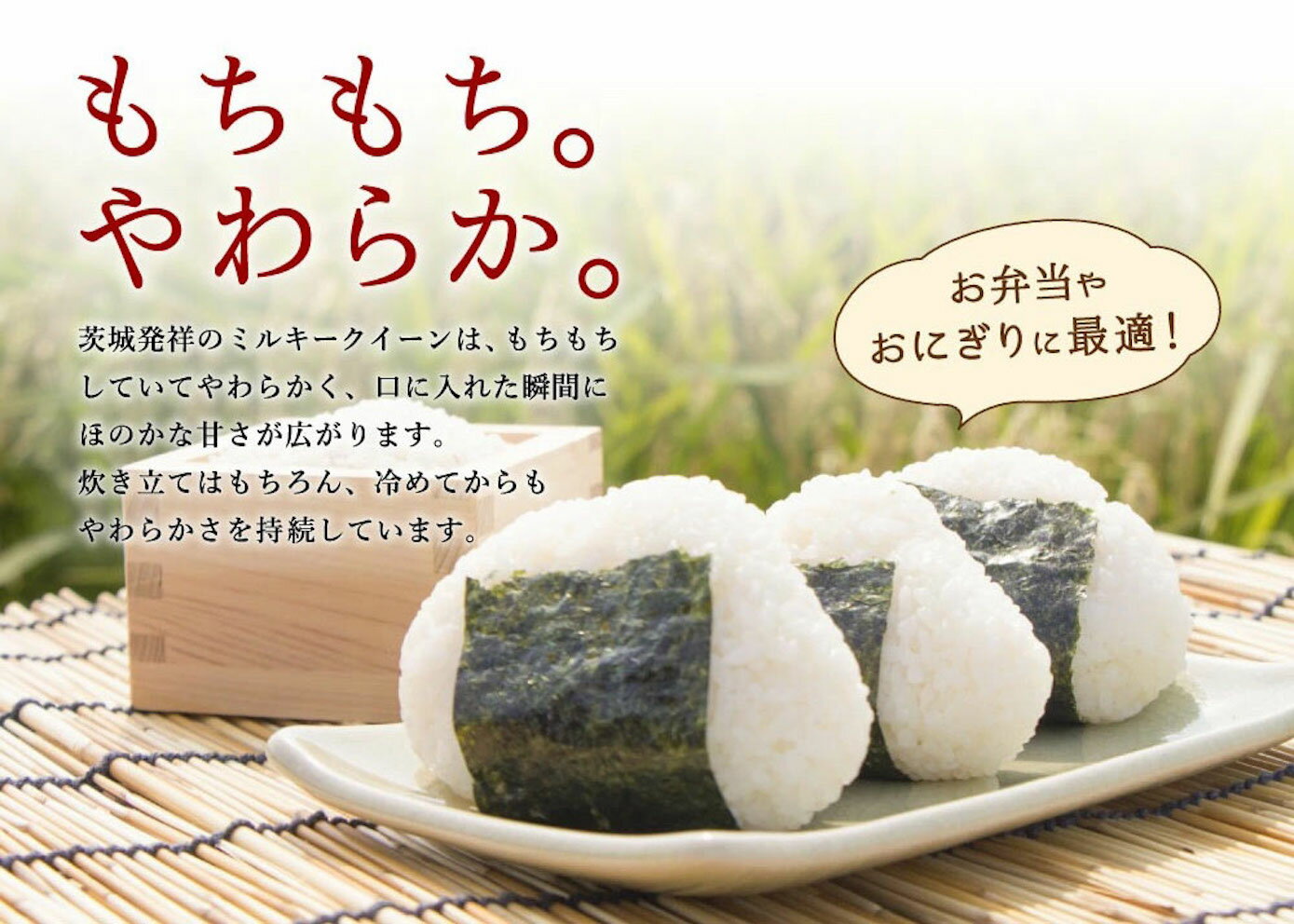 【ふるさと納税】【隔月定期便 （計6回）】茨城県産 ミルキークイーン （ 5kg × 2袋 ）2カ月に1回 計6回 お米 精米 白米 米 定期便 産地直送 送料無料 （KY-14）