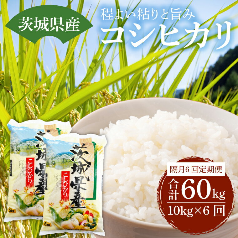 茨城県産コシヒカリ　2カ月に1回（ 5kg × 2袋 ） 計6回 定期便 コシヒカリ お米 米 精米 産地直送 送料無料 （KY-13）