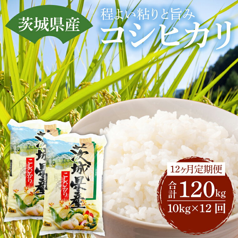 【12ヶ月定期便】茨城県産コシヒカリ（ 5kg × 2袋 ）× 12ヶ月 定期便 お米 米 精米 こしひかり コシヒカリ 産地直送 送料無料（KY-5）