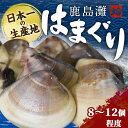 【ふるさと納税】鹿島灘はまぐり　