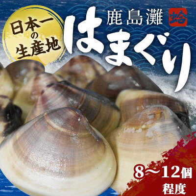 楽天ふるさと納税　【ふるさと納税】鹿島灘はまぐり　蛤　はまぐり　ハマグリ　海産物　海鮮　産地直送　送料無料　バーベキュー　肉厚　大粒　（KM-2）