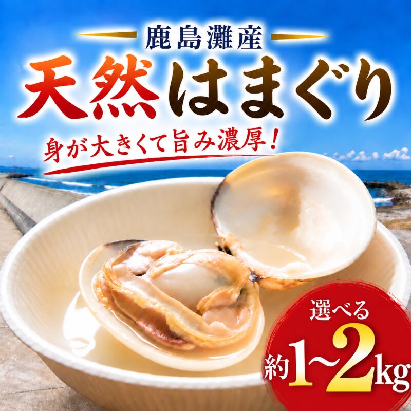 はまぐり 鹿島灘 約1kg〜2kg 砂抜き済 鹿島灘産 ハマグリ 蛤 海鮮 水産加工品 水産品 海産物 魚 貝 はまぐり ハマグリ 活はまぐり だし 出汁 味噌汁 酒蒸し お吸い物 網焼き バーベキュー BBQ 魚貝 冷蔵 縁起物 鹿島灘 茨城県 鹿嶋市