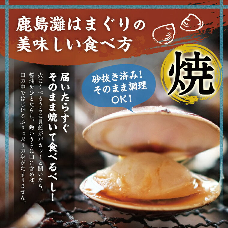 【ふるさと納税】 はまぐり 18粒以上 日本一の生産地 茨城県鹿島灘産 ハマグリ 蛤 ...