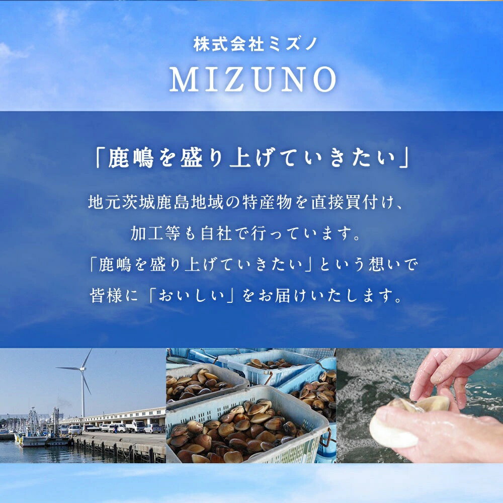 【ふるさと納税】鹿島だこ　蛸　たこ　タコ　海鮮　バーベキュー　産地直送　送料無料　ギフト　贈り物（KM-9）