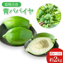 【ふるさと納税】【先行予約】鹿嶋市唯一の青パパイヤ農園!青パパイヤ 約2kg 【野菜 やさい くだもの 果物 鹿嶋市 茨城県 10000円以内 1万円以内】(KBF-4)
