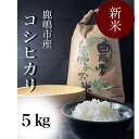 【ふるさと納税】【令和5年産】安心安全のお米！特別栽培米コシヒカリ（5kg） （KAV-1）
