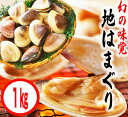【ふるさと納税】鹿島灘特産★ブランド地はまぐり(お手軽 1kg ) BBQ 貝類 海鮮 海産物 はまぐり 蛤 ハマグリ 人気 ブランド 特産 鹿島灘 鹿嶋市 茨城県 送料無料 産地直送 10000 一万円(KBL-3)