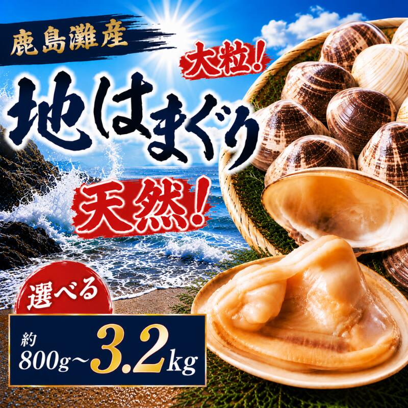 【ふるさと納税】 はまぐり 選べる 800g 1.6kg 2.4kg 3.2kg 地はまぐり 鹿島灘産 ...