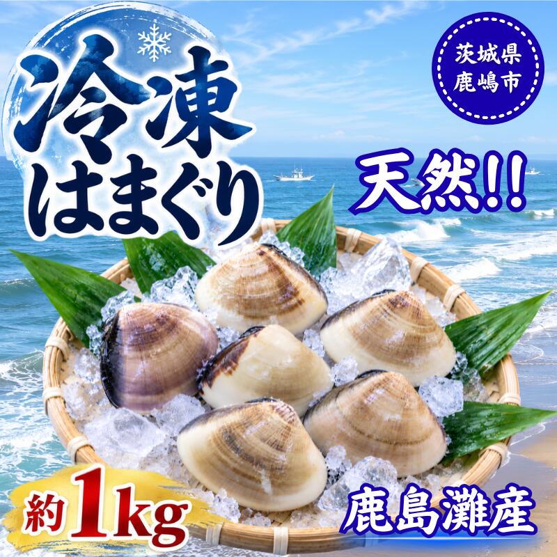 はまぐり 鹿島灘産 冷凍はまぐり 約1kg