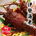 【ふるさと納税】【漁師直送/生】伊勢海老 3kg 6〜15尾 伊勢エビ 送料無料 茨城県 鹿嶋市 鹿嶋(KBL-17)