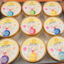 【ふるさと納税】Sol soleのジェラート9種 9個入り 無添加 ジェラート スイーツ デザート 鹿嶋市 アイス 送料無料(KBM-2)